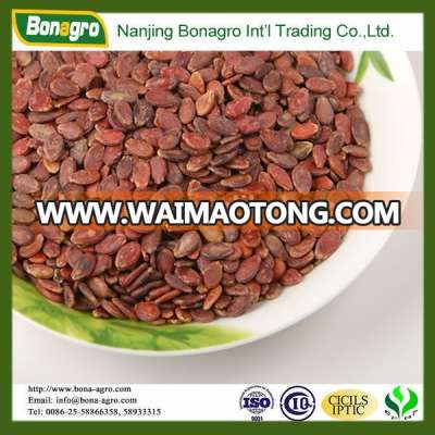 red watermelon seeds supplier